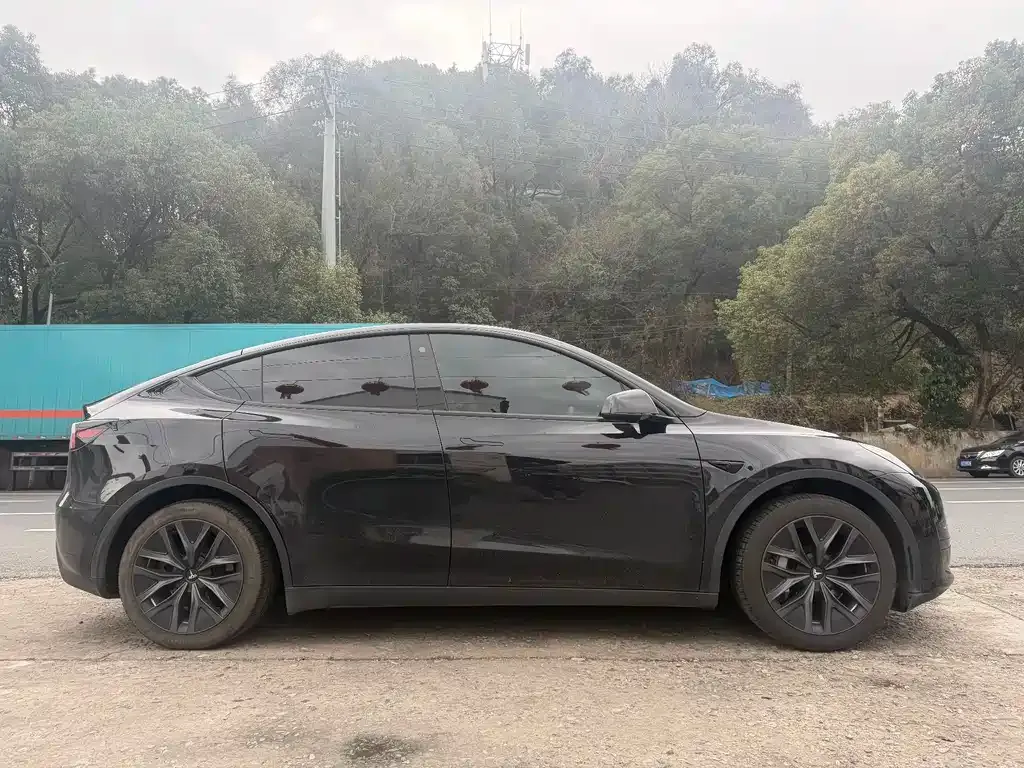 Tesla Model Y — фото 5
