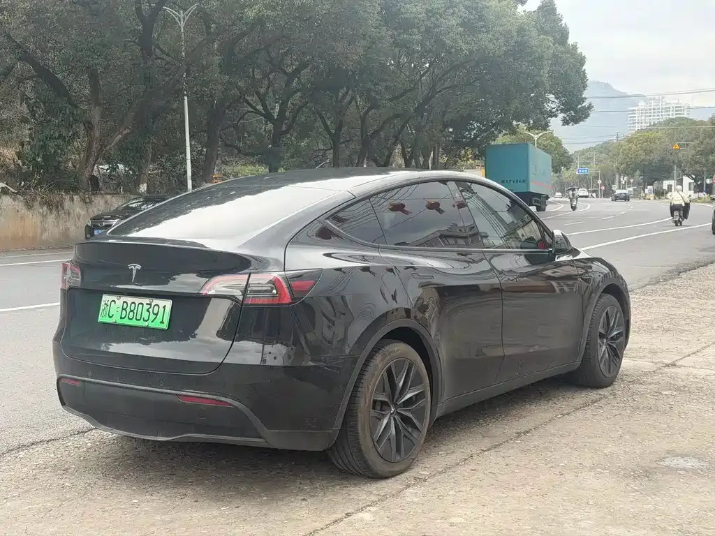 Tesla Model Y — фото 8