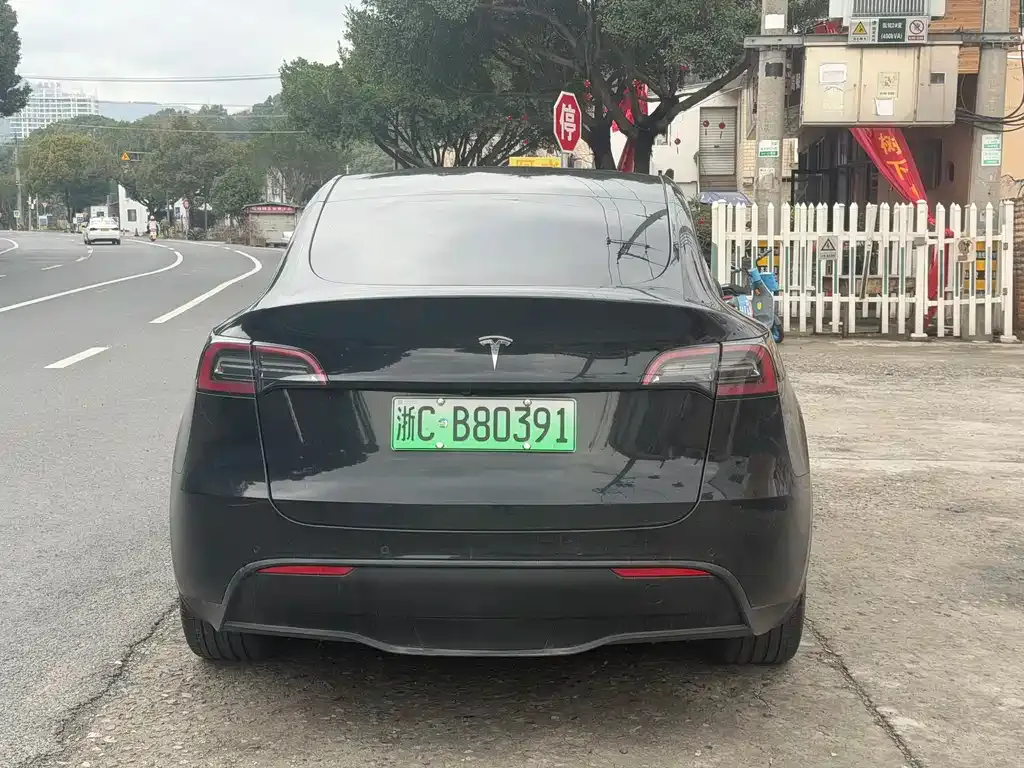 Tesla Model Y — фото 9