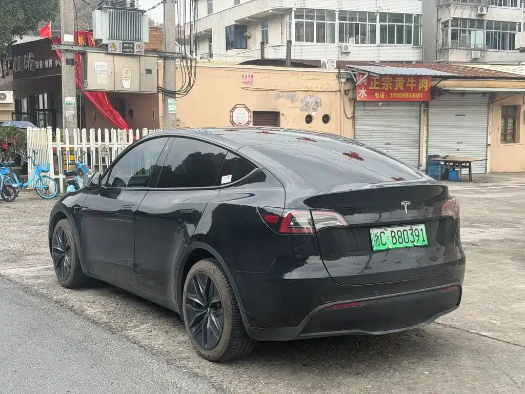 Tesla Model Y — фото 6