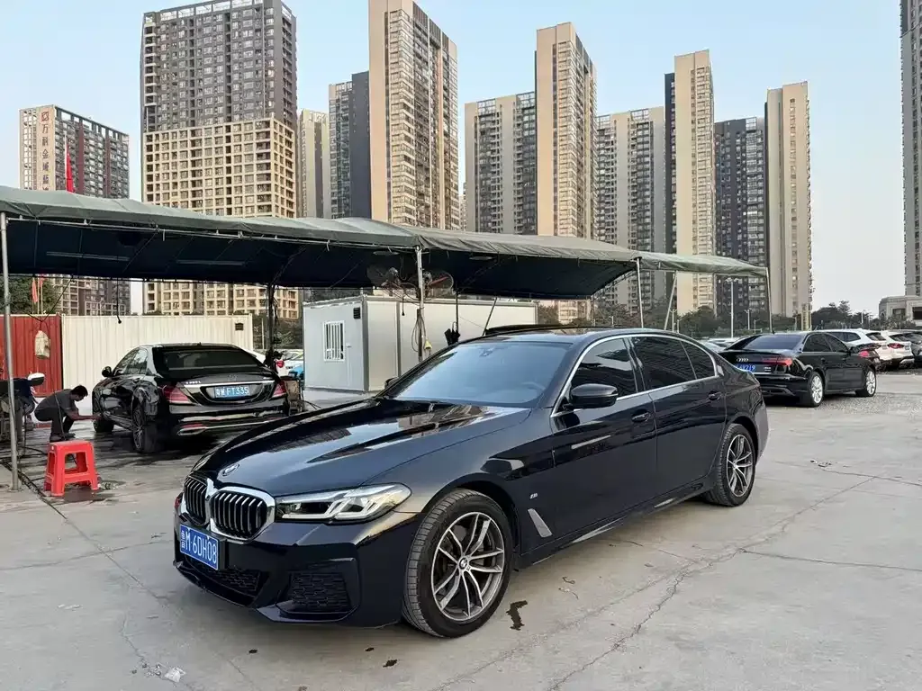 BMW 5 Series 2021 из CN, фото 9