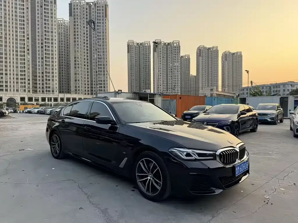 BMW 5 Series 2021 из CN, фото 8