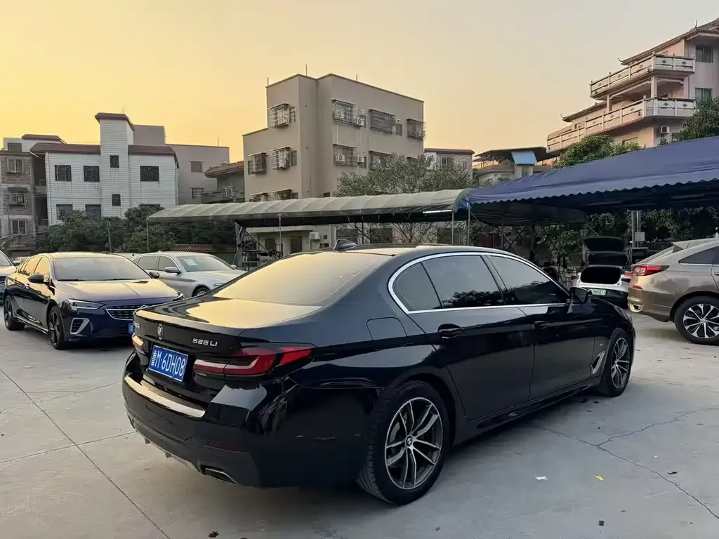 BMW 5 Series 2021 из CN, фото 3