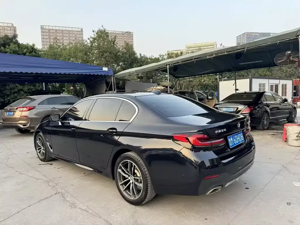 BMW 5 Series 2021 из CN, фото 7