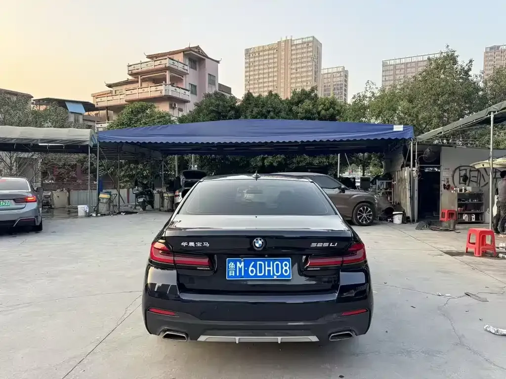 BMW 5 Series 2021 из CN, фото 4