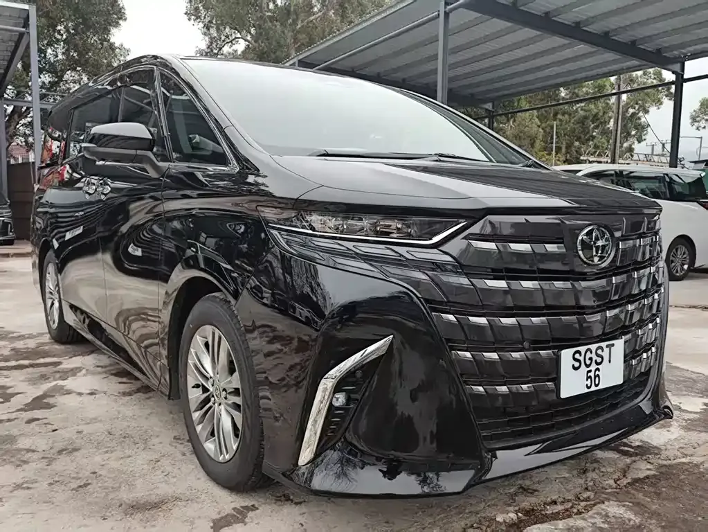Toyota Alphard — фото 9