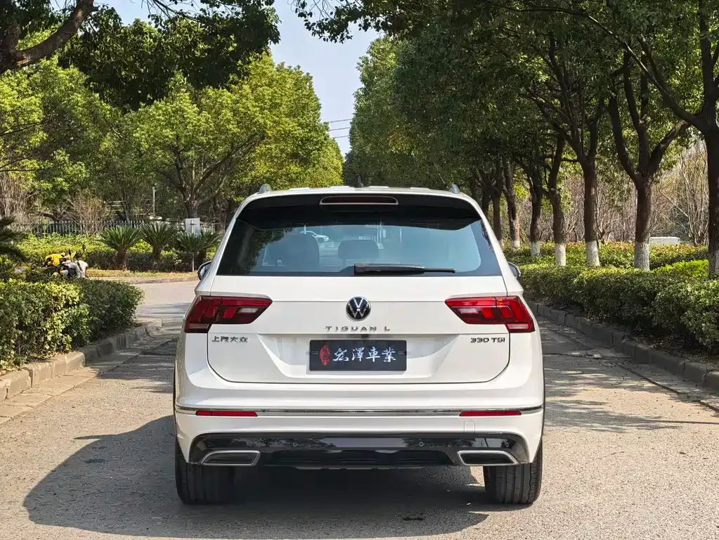 Volkswagen Tiguan L 2021 из CN, фото 6