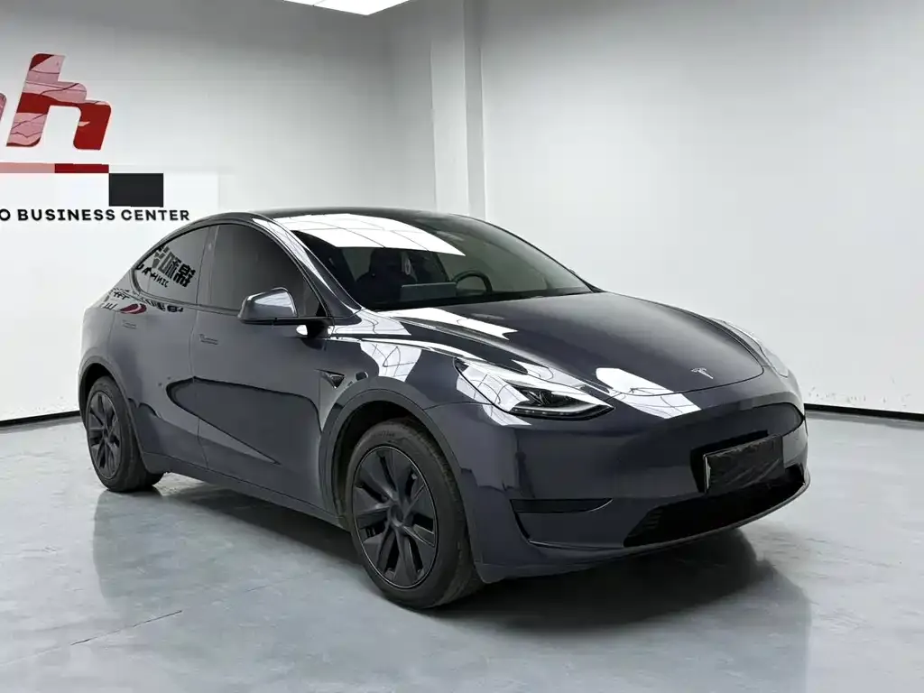 Tesla Model Y — фото 4
