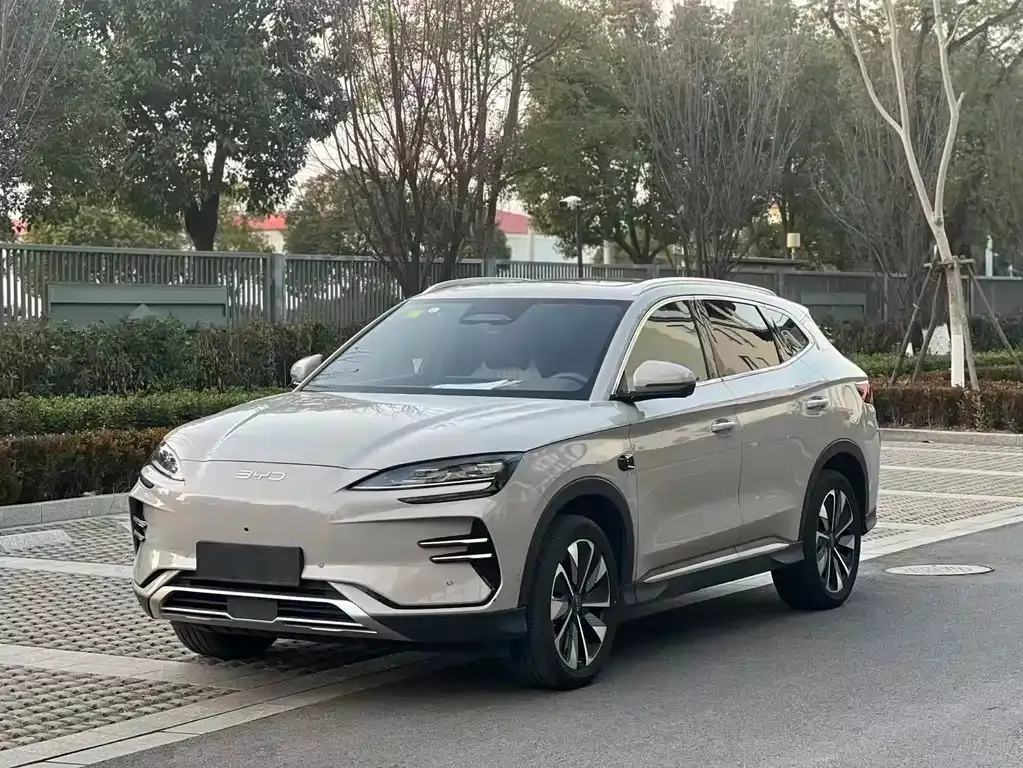 BYD PLUS New Energy — фото 1