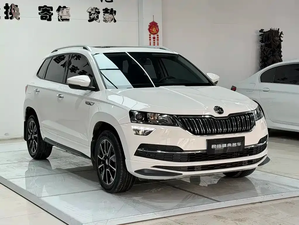 Skoda Karoq — фото 8