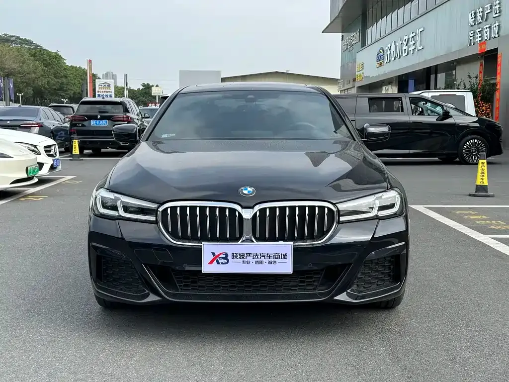 BMW 5 Series 2022 из CN, фото 7