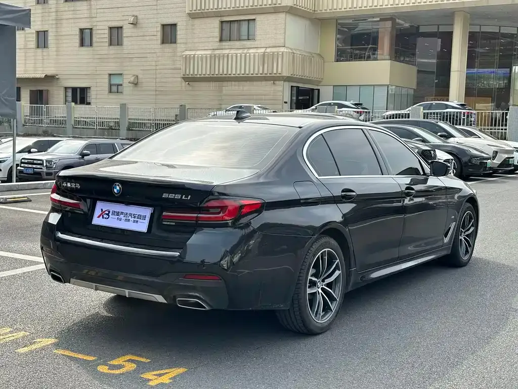 BMW 5 Series 2022 из CN, фото 9