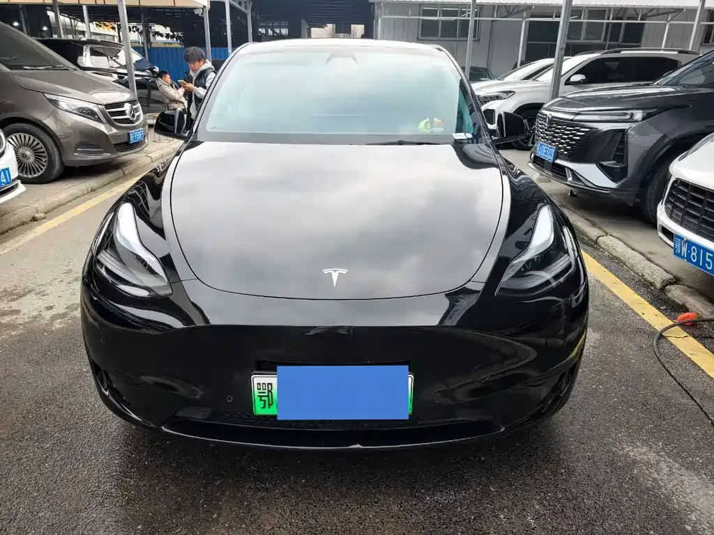 Tesla Model Y 2022 из CN, фото 1