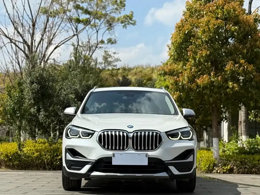 BMW X1 2022 из CN, фото 9