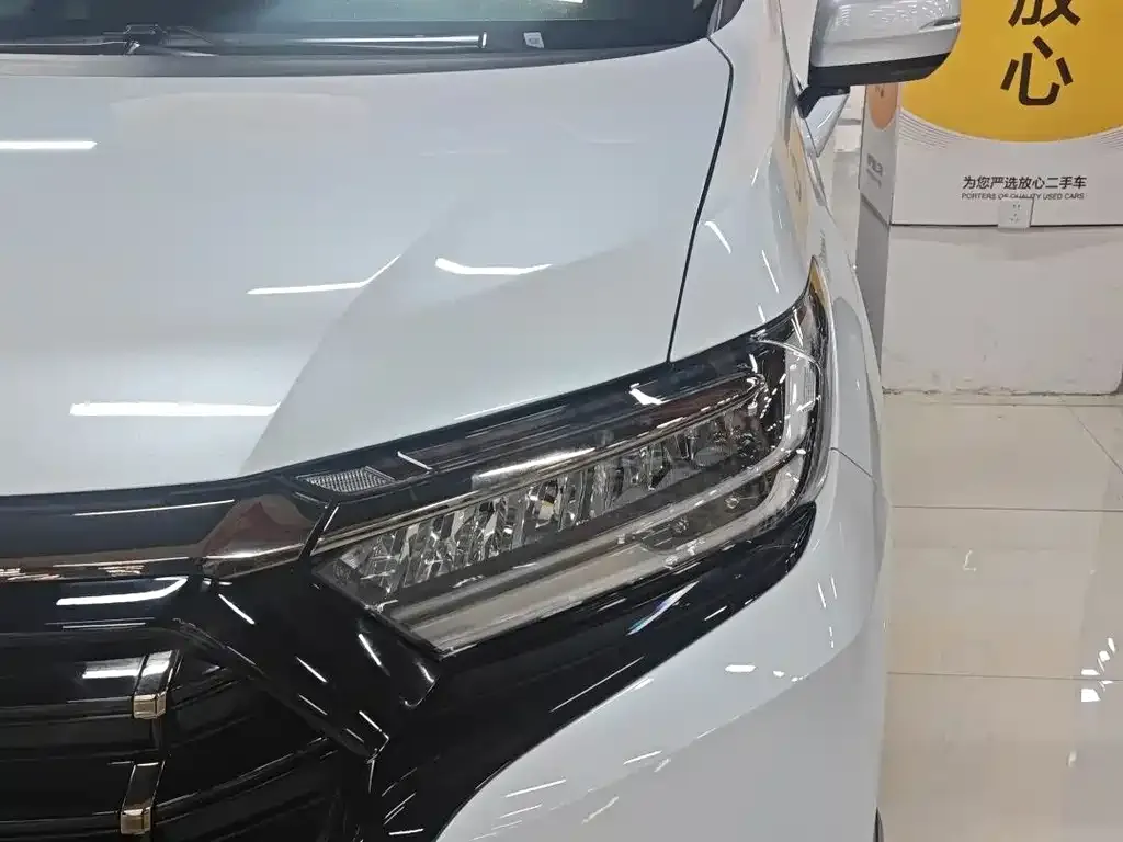 Honda Elysion 2024 из CN, фото 8