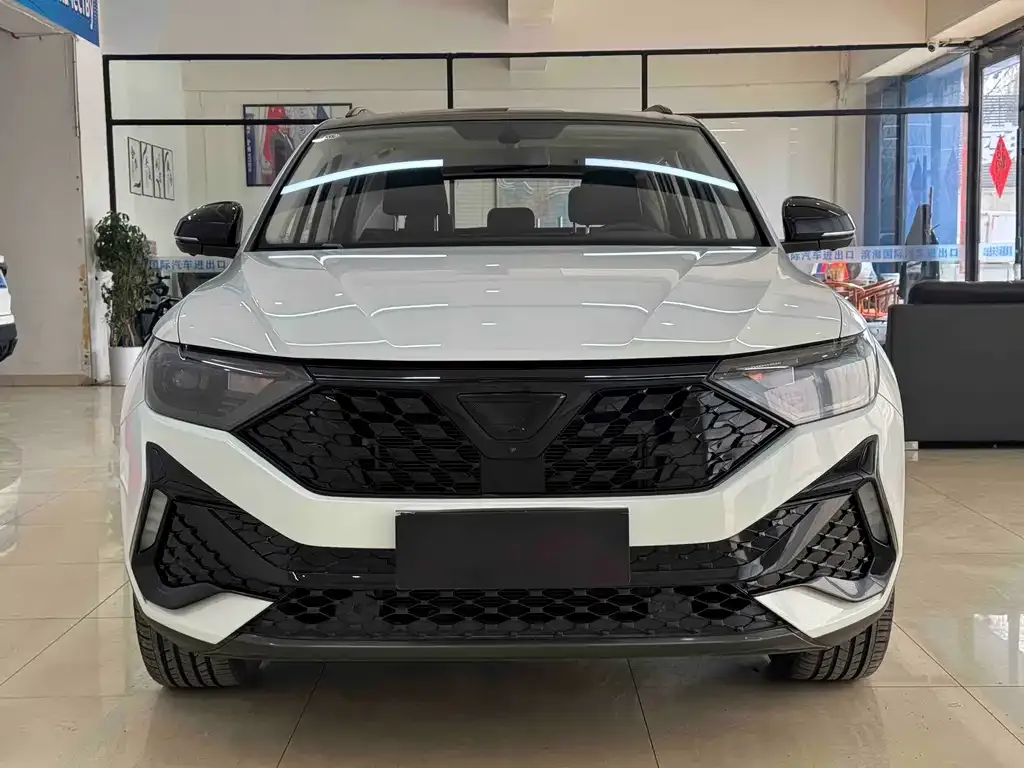 Jetta VS5 2023 из CN, фото 8