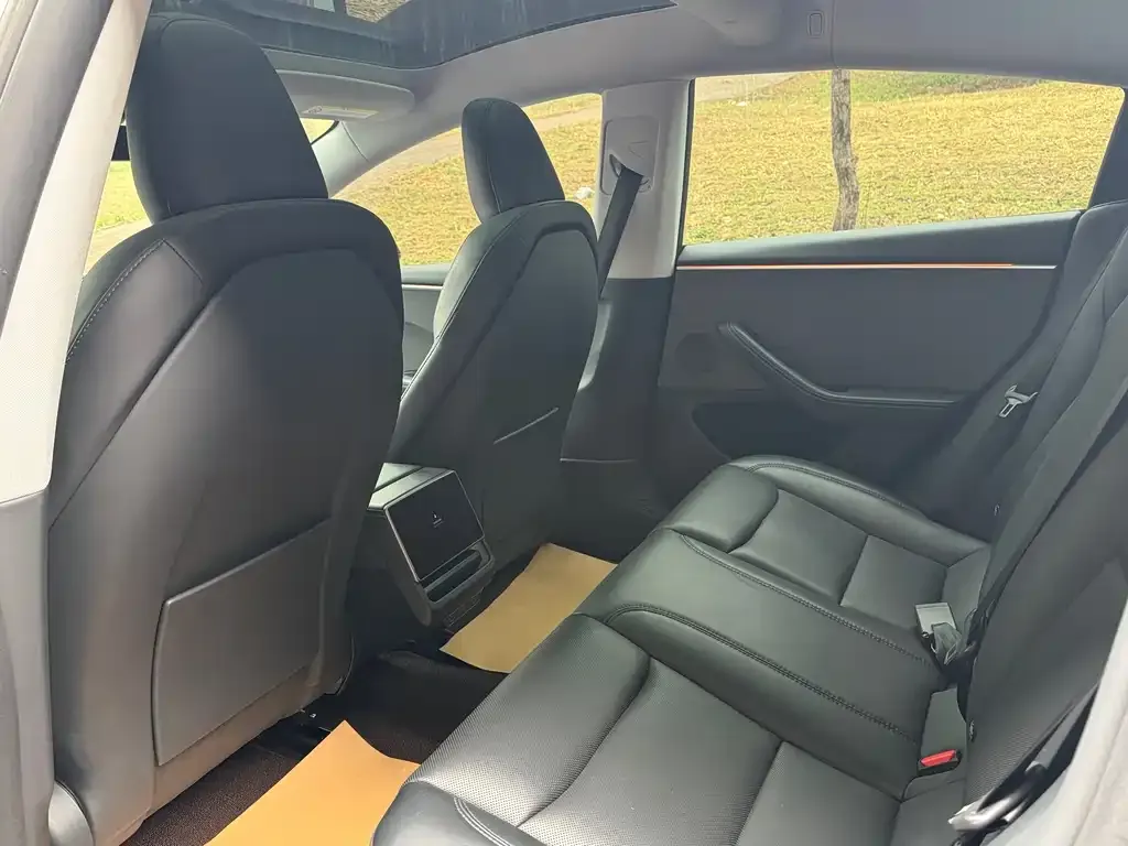 Tesla Model 3 2024 из CN, фото 4