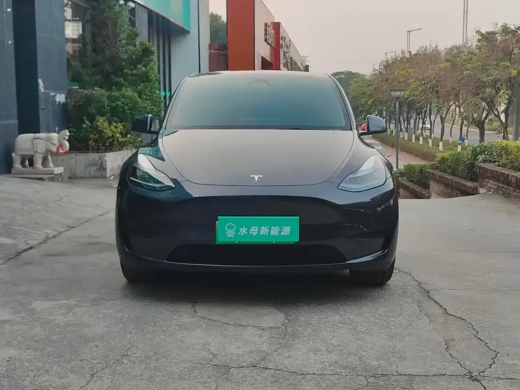 Tesla Model Y — фото 2