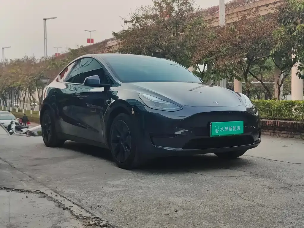 Tesla Model Y — фото 3
