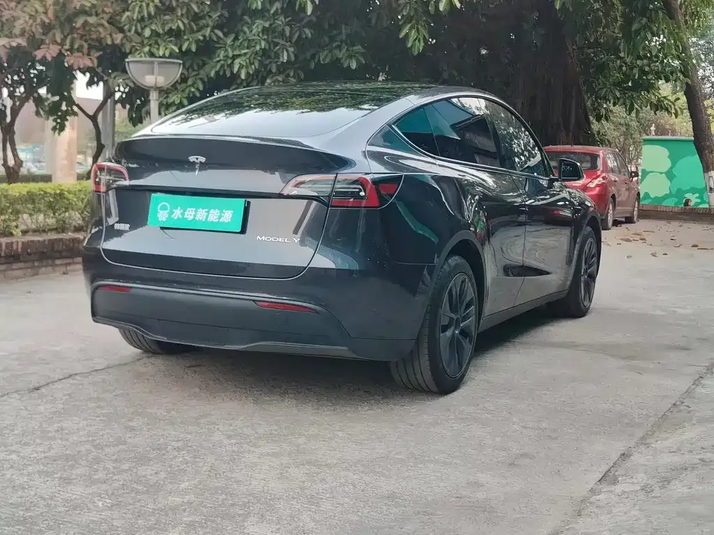 Tesla Model Y — фото 9