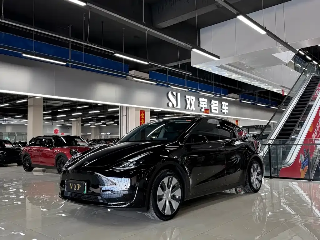 Tesla Model Y — фото 1