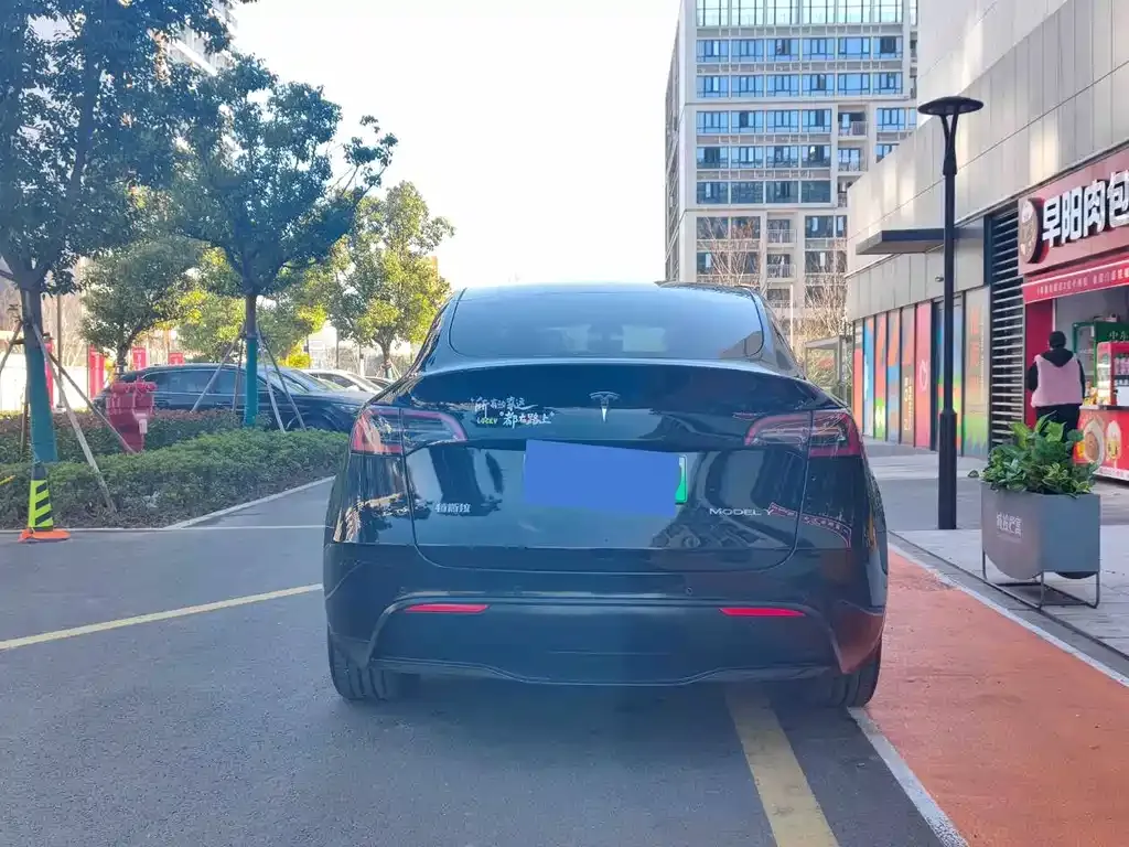 Tesla Model Y 2023 из CN, фото 10