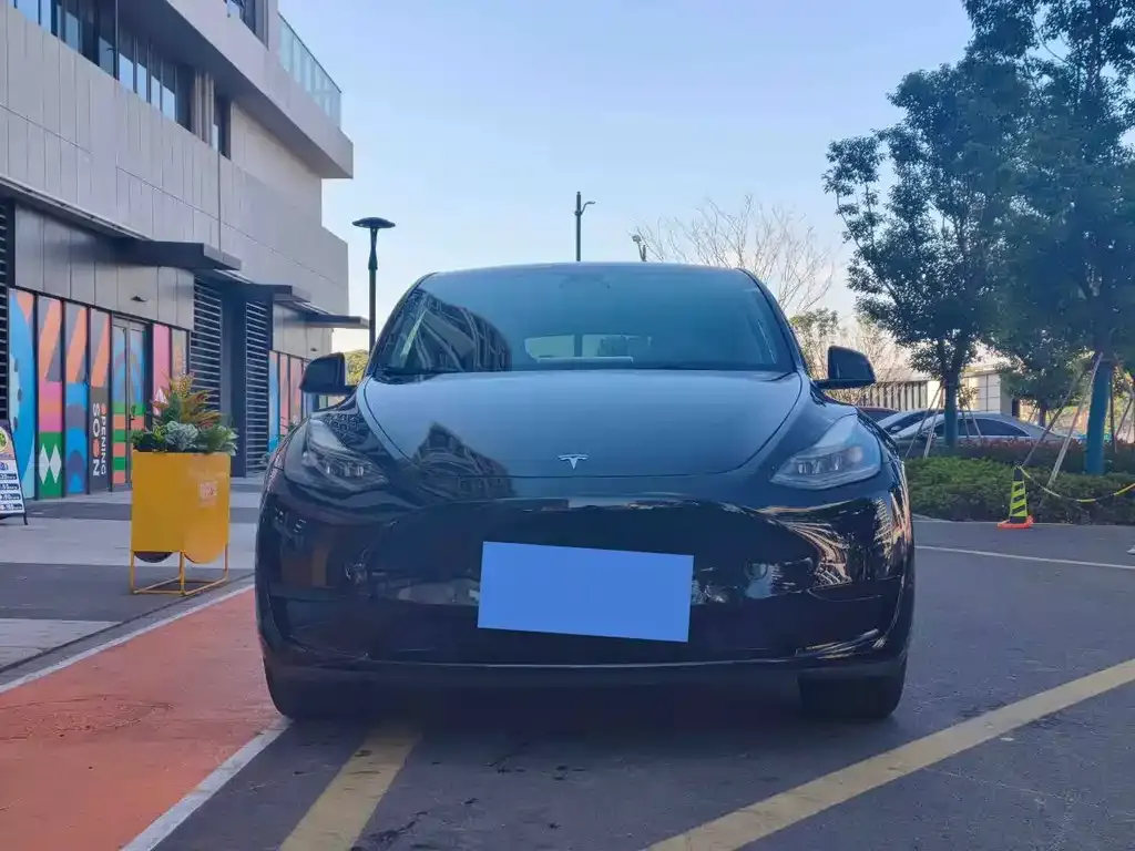 Tesla Model Y 2023 из CN, фото 5