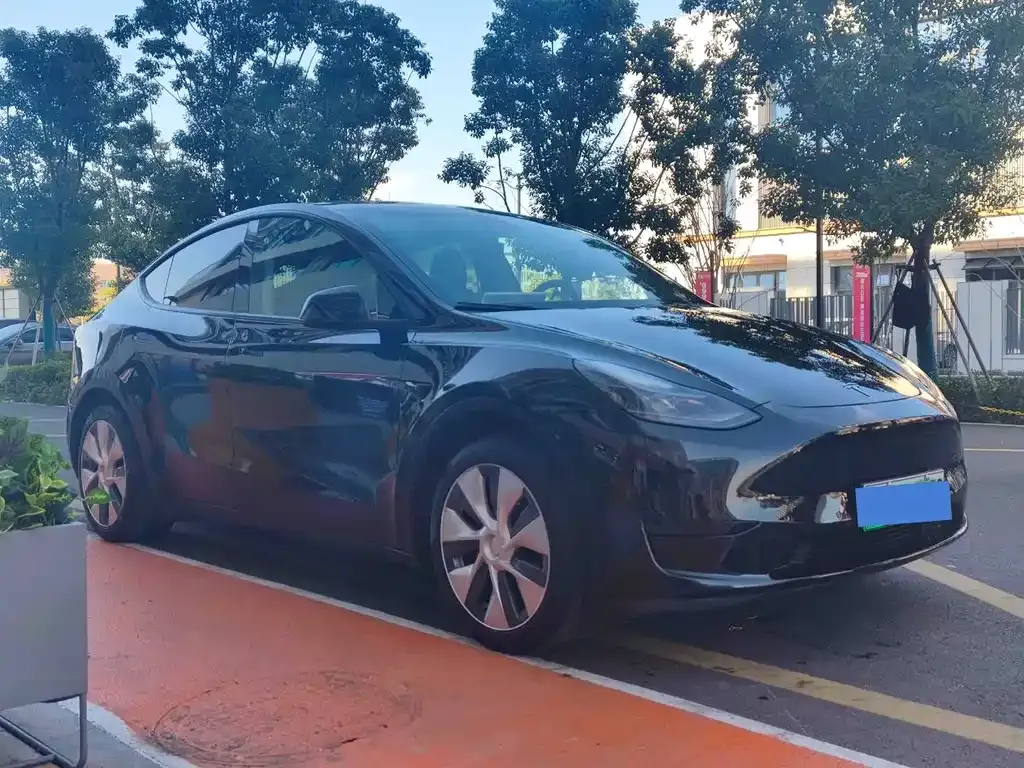 Tesla Model Y 2023 из CN, фото 9