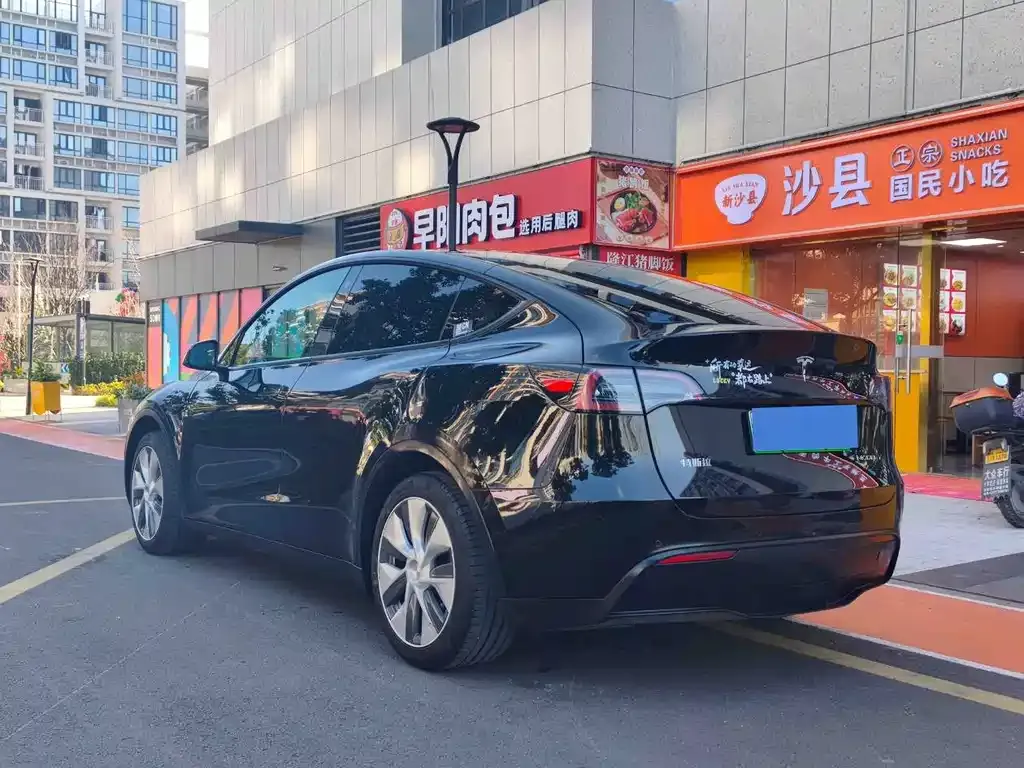 Tesla Model Y 2023 из CN, фото 7