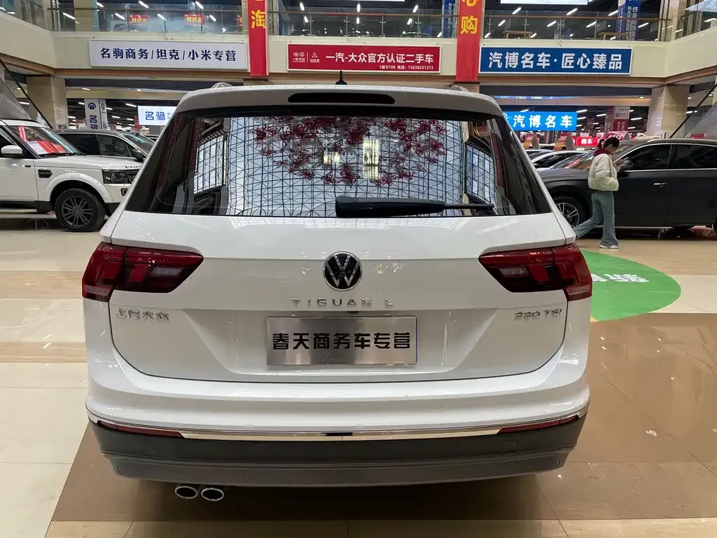Volkswagen Tiguan L 2021 из CN, фото 4