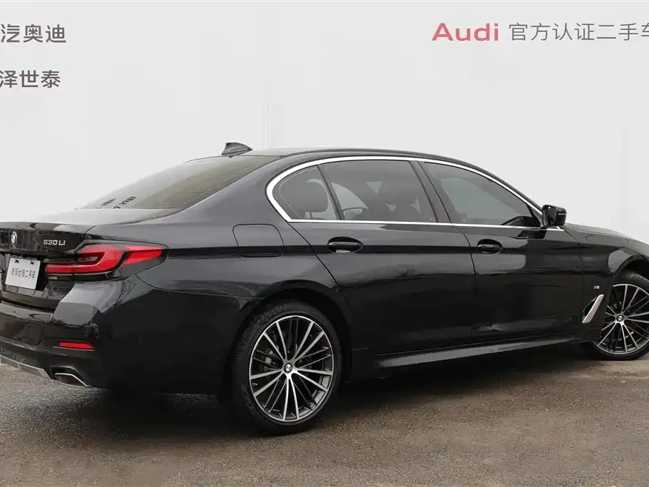BMW 5 Series 2023 из CN, фото 8