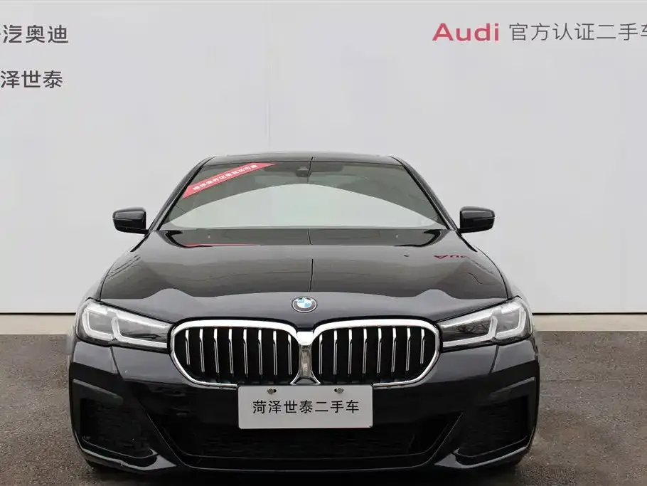 BMW 5 Series 2023 из CN, фото 9