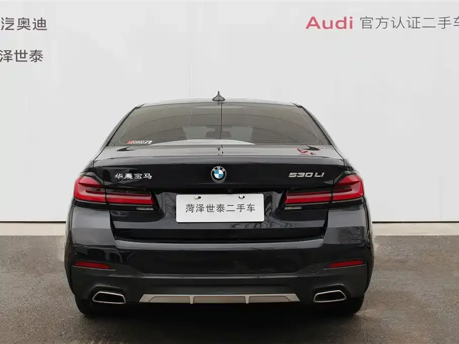 BMW 5 Series 2023 из CN, фото 3