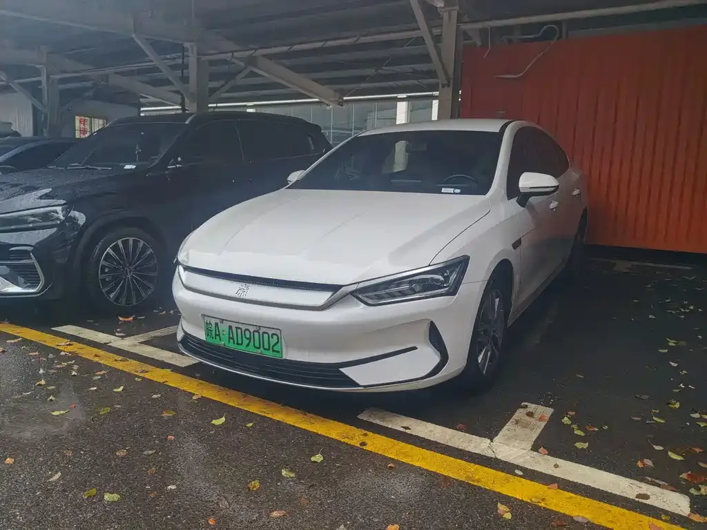 BYD Qin PLUS 2024 из CN, фото 1