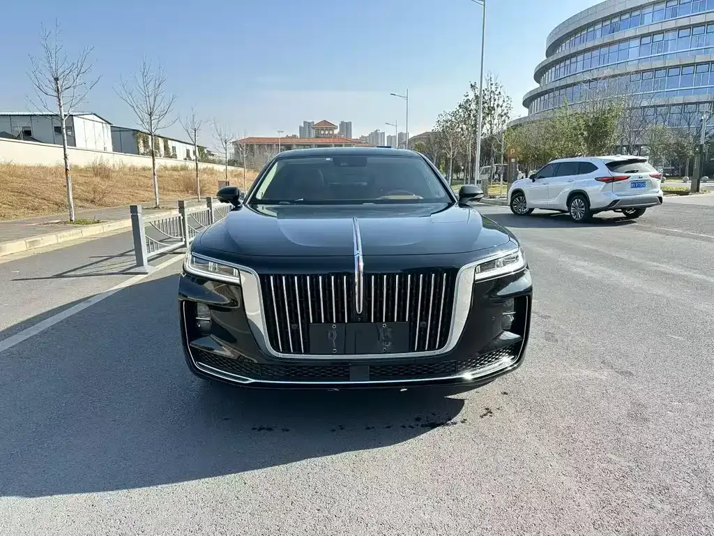 Hongqi H9 2021 из CN, фото 4