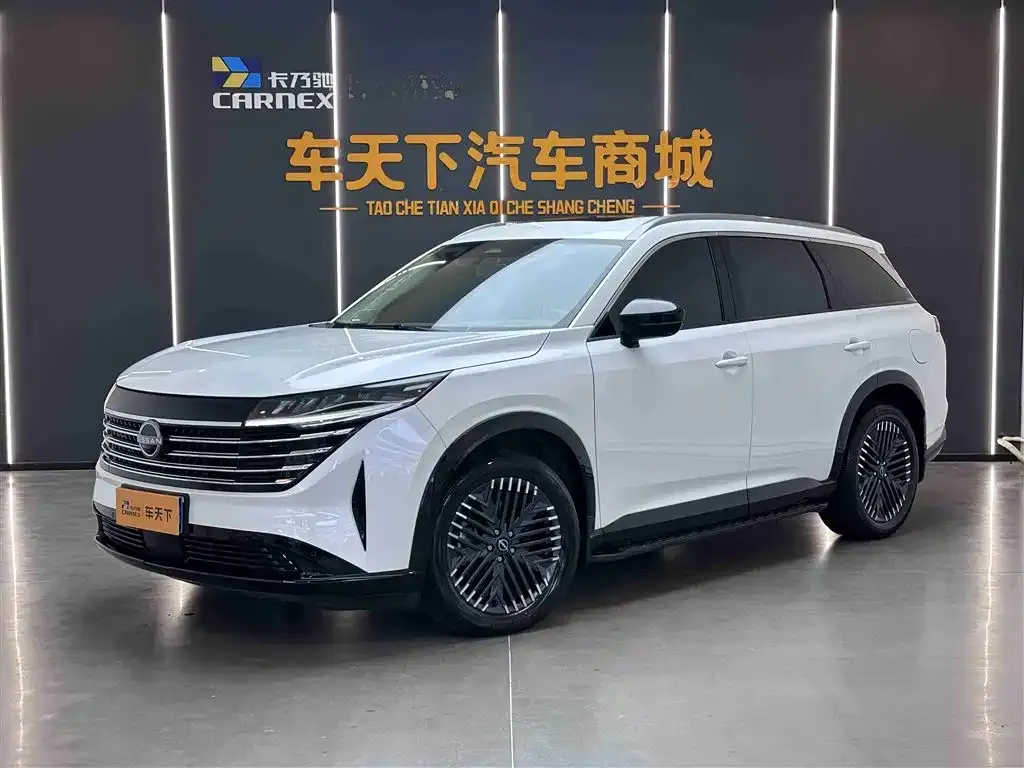 Nissan Teramont 2024 из CN, фото 1