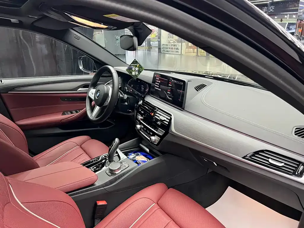 BMW 5 Series 2023 из CN, фото 9