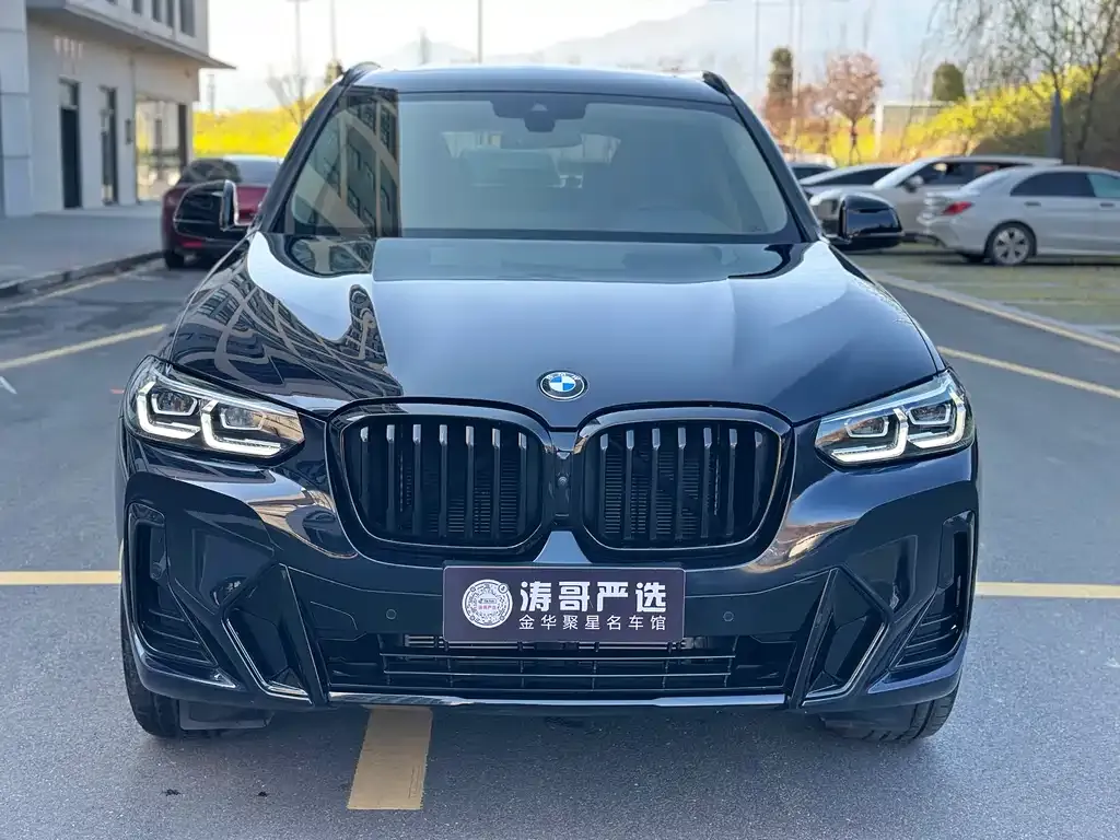 BMW X3 2024 из CN, фото 2