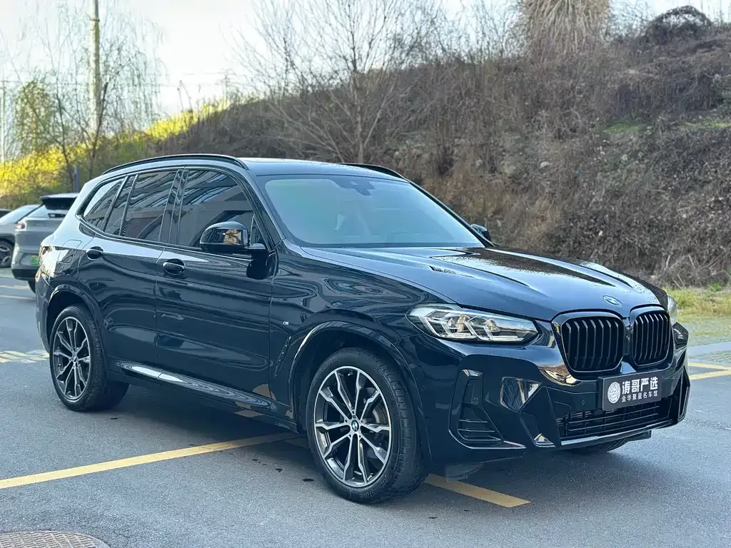 BMW X3 2024 из CN, фото 5