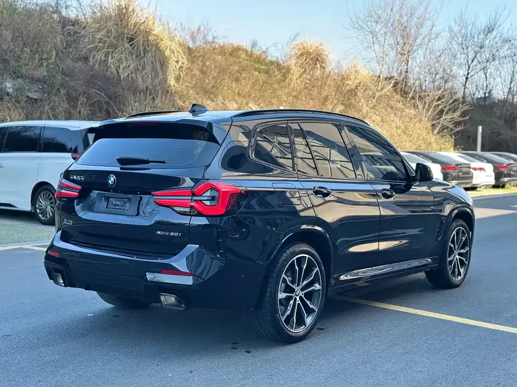 BMW X3 2024 из CN, фото 9