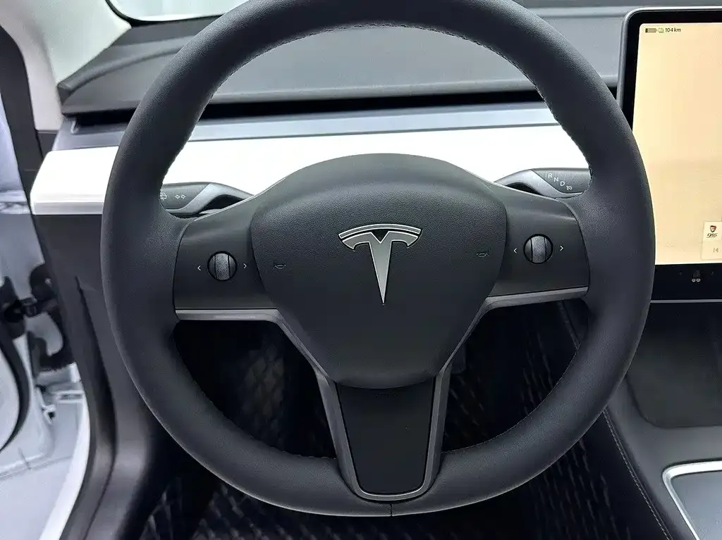 Tesla Model 3 2022 из CN, фото 4
