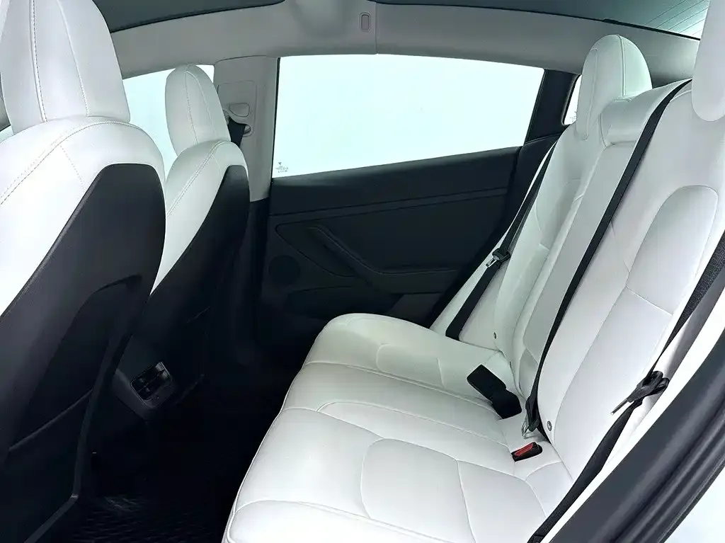Tesla Model 3 2022 из CN, фото 3