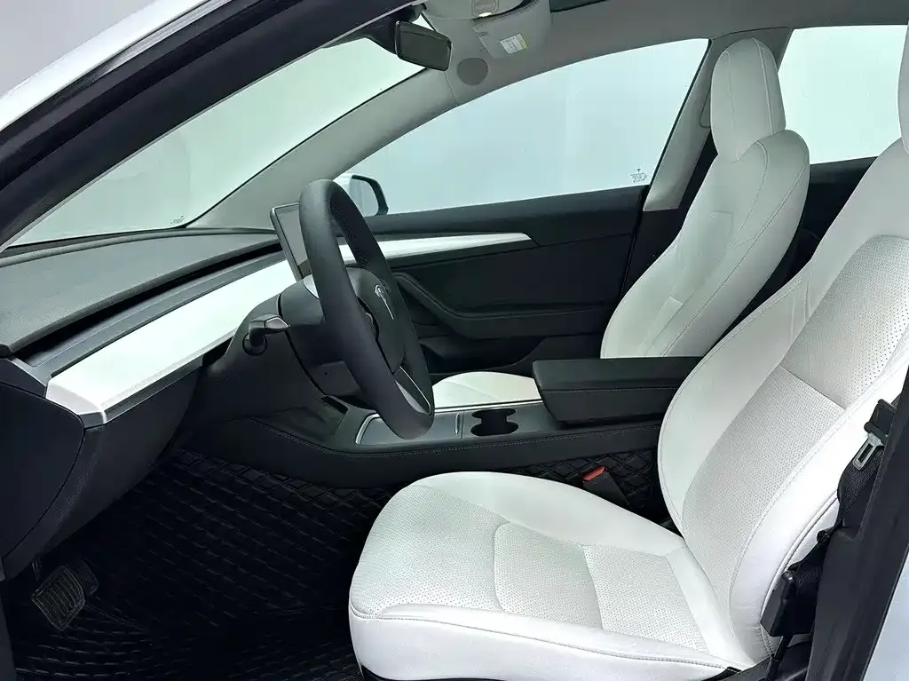 Tesla Model 3 2022 из CN, фото 6