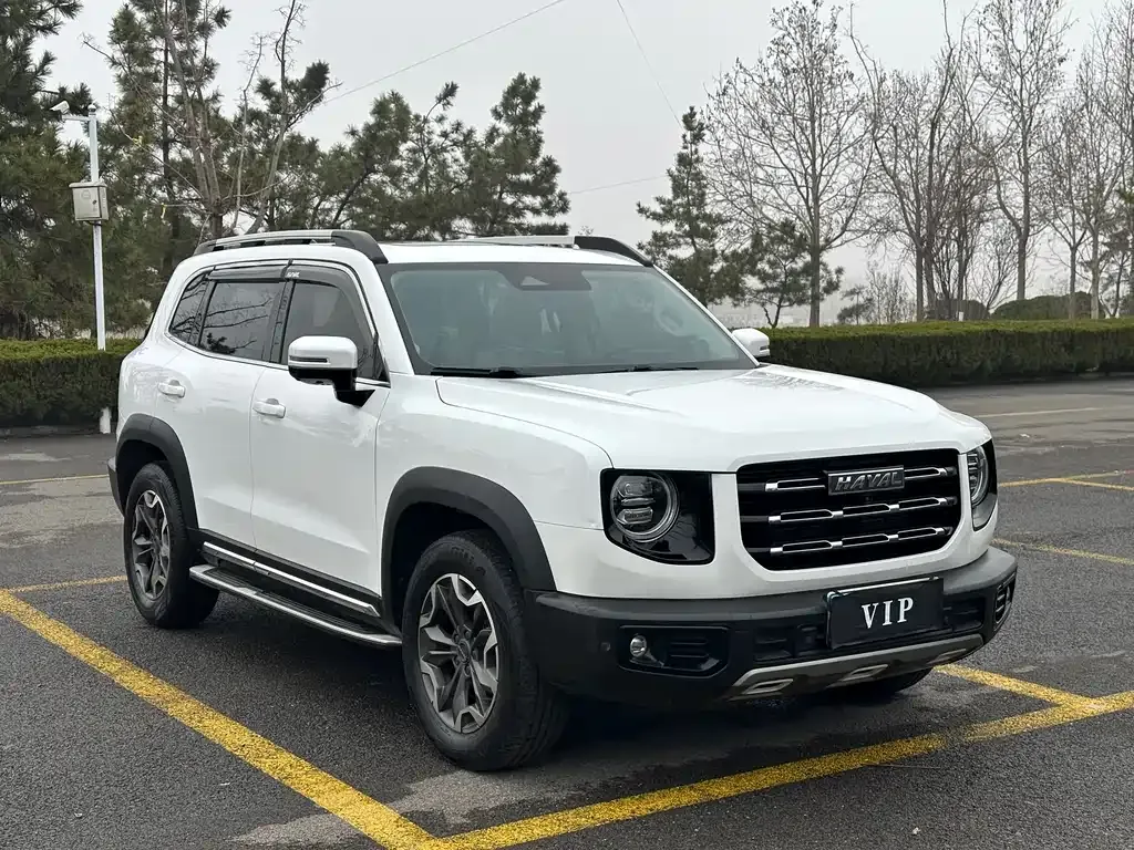 Haval Big Dog 2021 из CN, фото 1