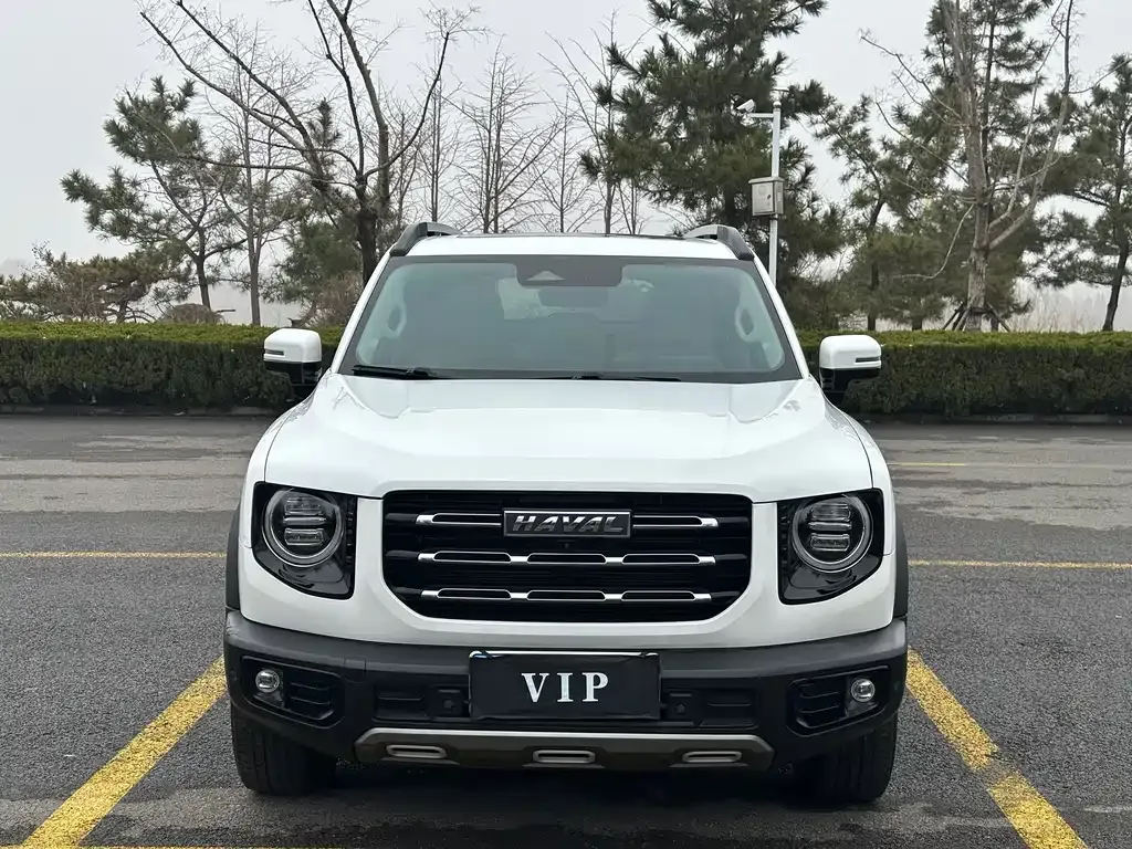 Haval Big Dog 2021 из CN, фото 10