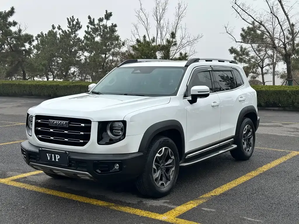 Haval Big Dog 2021 из CN, фото 9