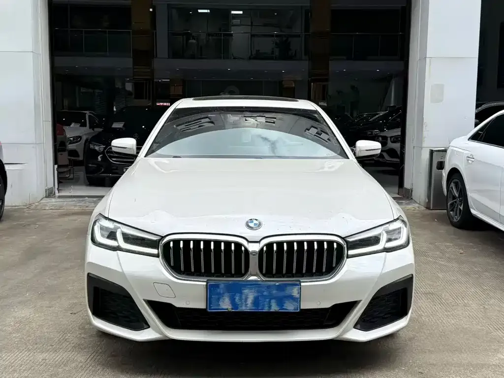BMW 5 Series 2023 из CN, фото 4