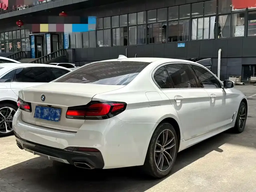 BMW 5 Series 2023 из CN, фото 6