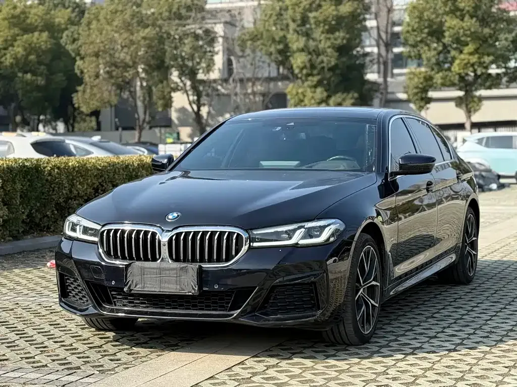 BMW 5 Series 2023 из CN, фото 1