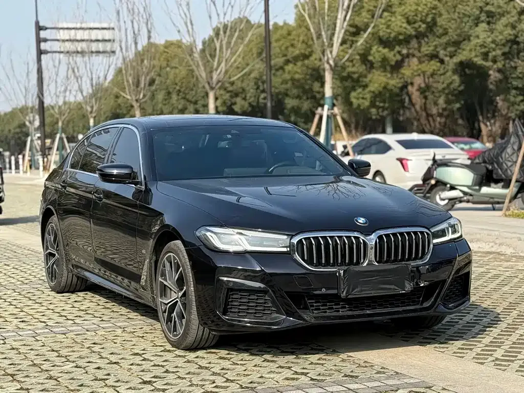 BMW 5 Series 2023 из CN, фото 10